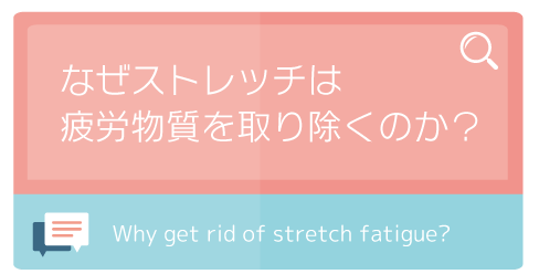 なぜストレッチは疲労物質を取り除くのか？