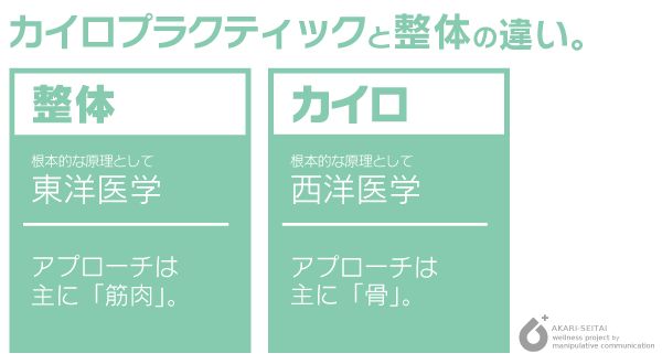 整体とカイロプラクティックの違い