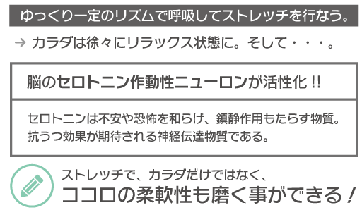 ストレッチでココロの柔軟性も手に入れる