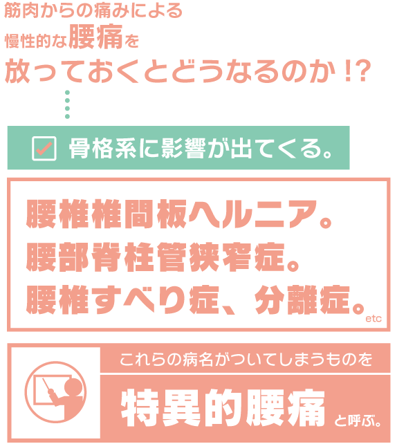 腰痛を放っておくと骨格系に影響が出てくる