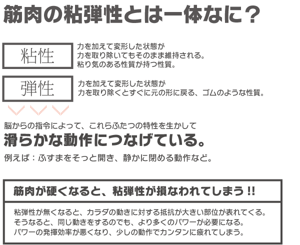 筋肉の粘弾性とは