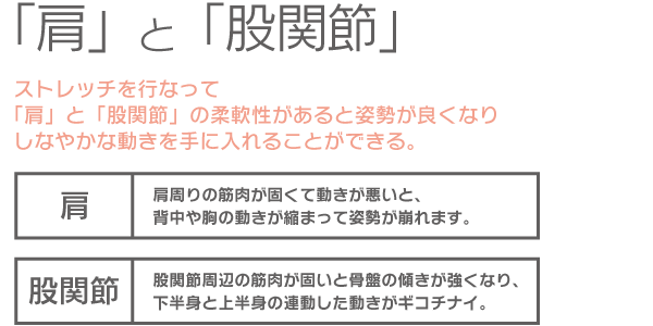 肩と股関節で姿勢をキレイに