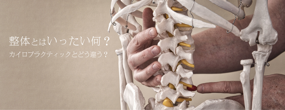 整体とカイロプラクティックの違い